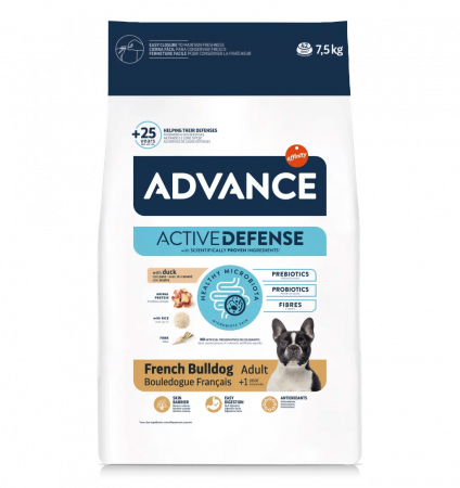 Caini - Advance French Bulldog