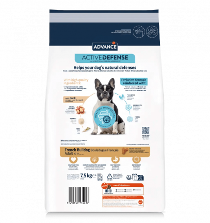 Advance French Bulldog [1]