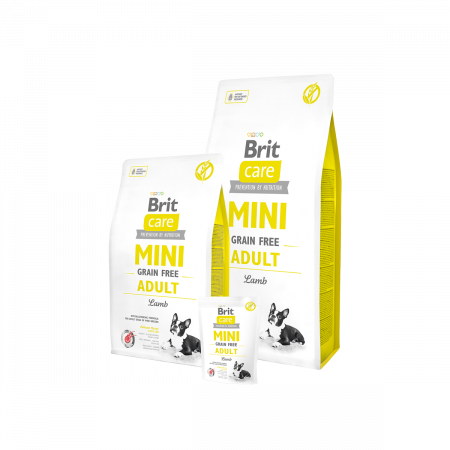 Hrana uscata caini - Brit Care Mini Grain Free Adult Miel