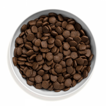 Canagan Grain Free Somon [1]