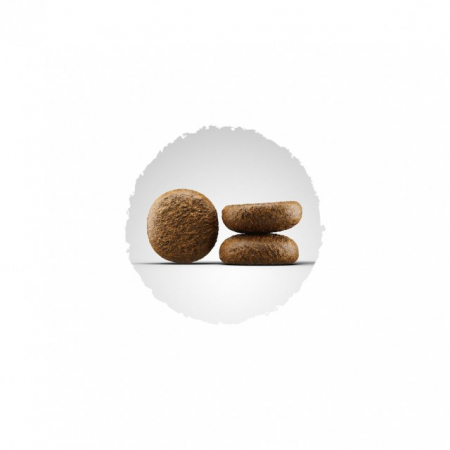 Josera Active Nature [1]