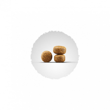 Hrana uscata pentru caini, Josera Balance, 12.5kg [1]