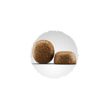 Josera Large Breed [1]