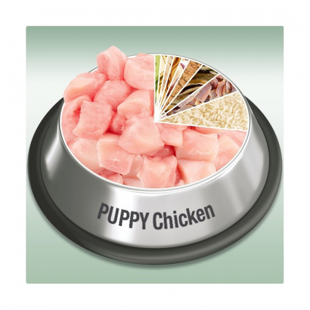 Platinum Puppy [2]
