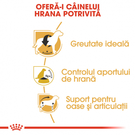 Royal Canin Beagle Adult 3 Kg [2]