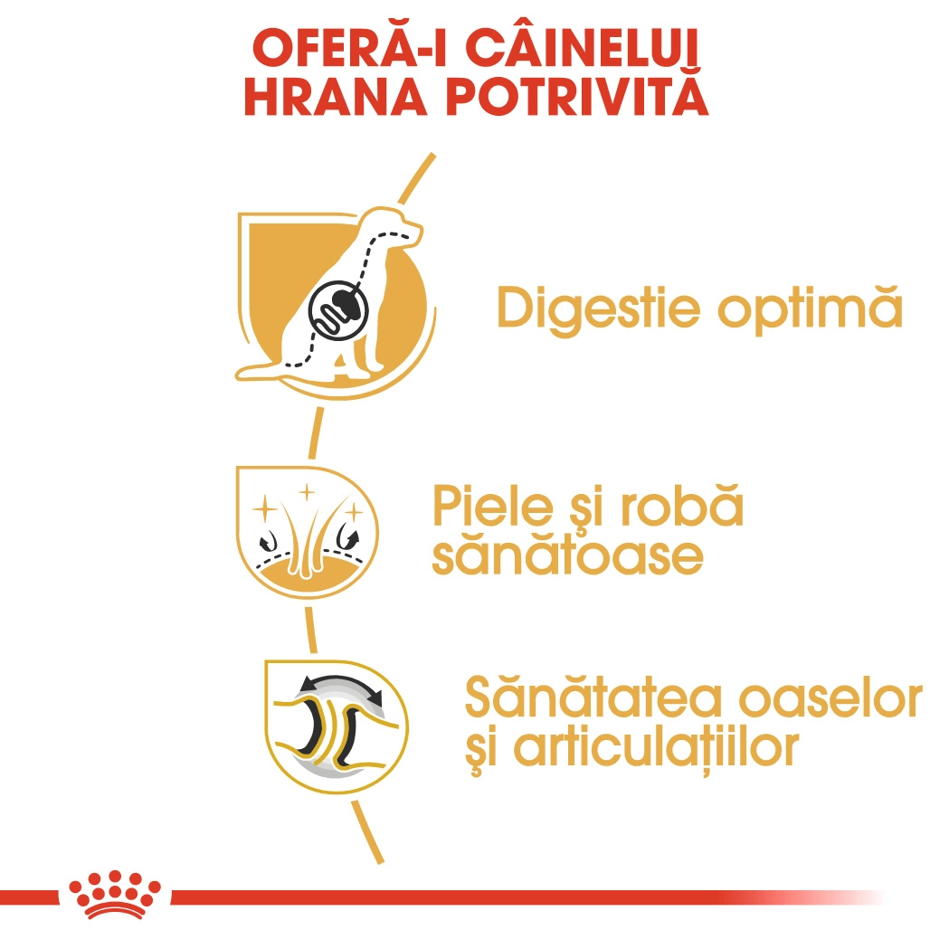 Royal Canin German Shepherd Adult [2]