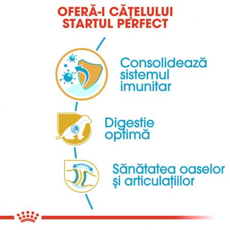 Royal Canin Ciobanesc German Puppy [3]