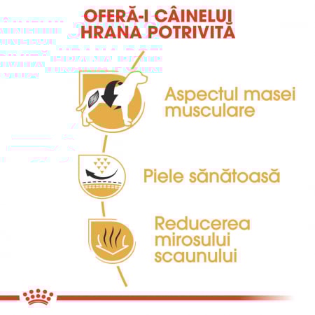 Royal Canin French Bulldog Adult [2]