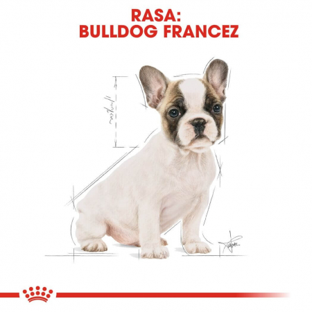 Royal Canin French Bulldog Puppy [7]