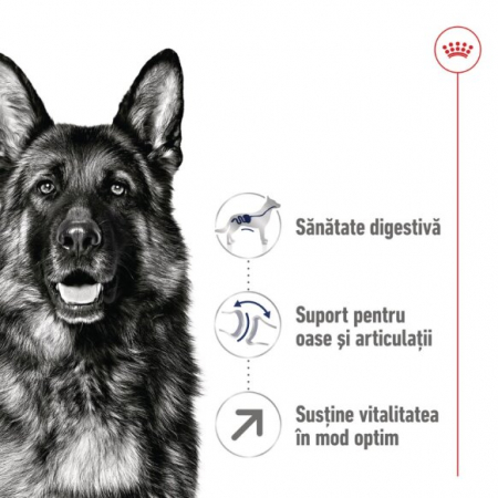 Royal Canin, Maxi Adult 5+ [3]