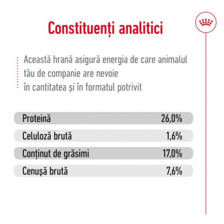 Royal Canin Maxi Adult [10]
