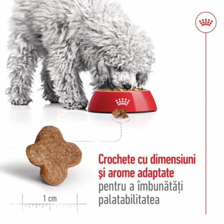 Royal Canin Mini Adult 8+ [6]