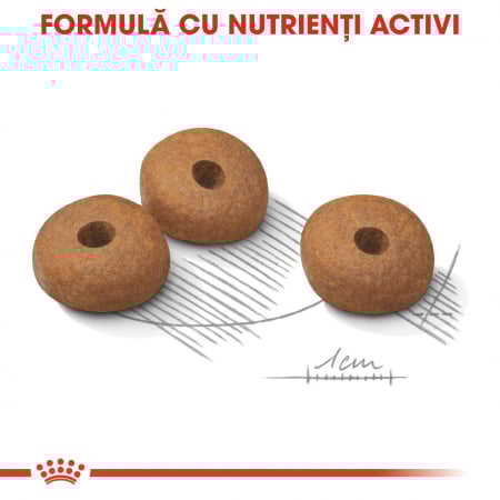 Royal Canin Mini Light Weightcare [5]