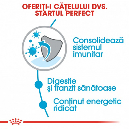 Royal Canin X-Small Puppy [4]