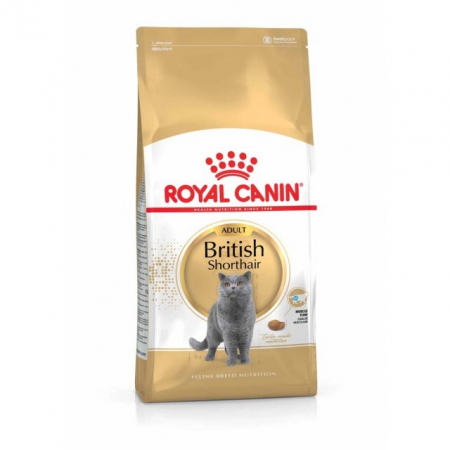 Pisici - Royal Canin British Shorthair