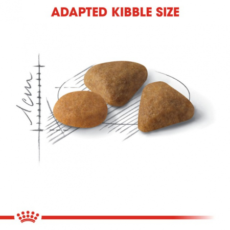 Royal Canin Exigent Savour [4]