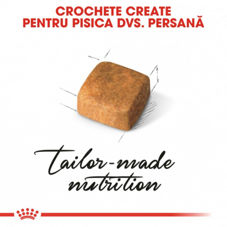 Royal Canin Persian Kitten [1]