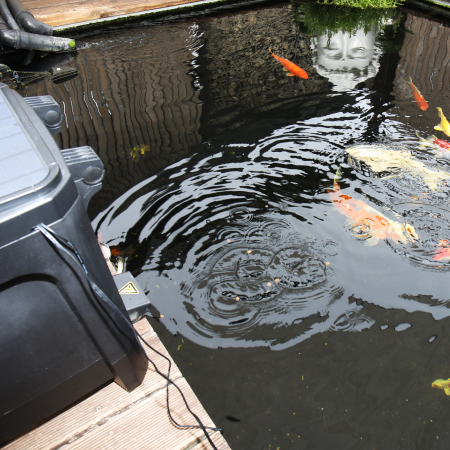 JBL ProPond AutoFood [11]