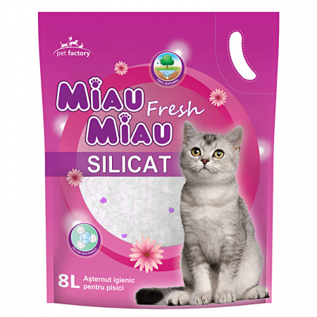 Pisici - Miau Miau Silicat