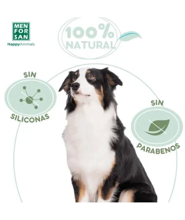 Menforsan Biotin, 300ml [1]