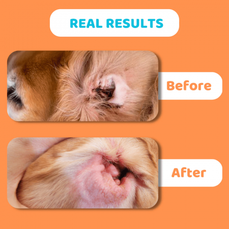Dogslife Ear Cleaning Wipes, pachet x 50 buc [6]