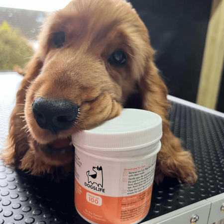 Dogslife Eye Cleaning Wipes [5]