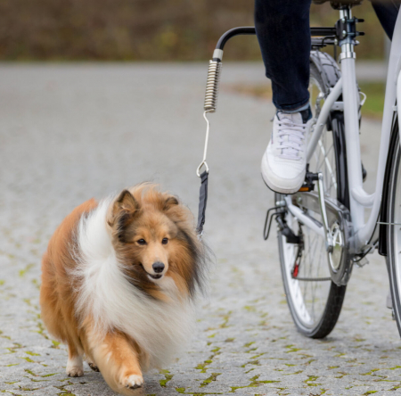 Lesa caine - Set lesa caini pentru bicicleta , Trixie 1287
