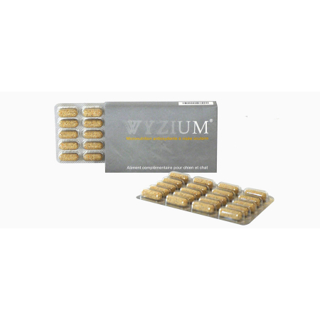 Wyzium, 40 comprimate [1]
