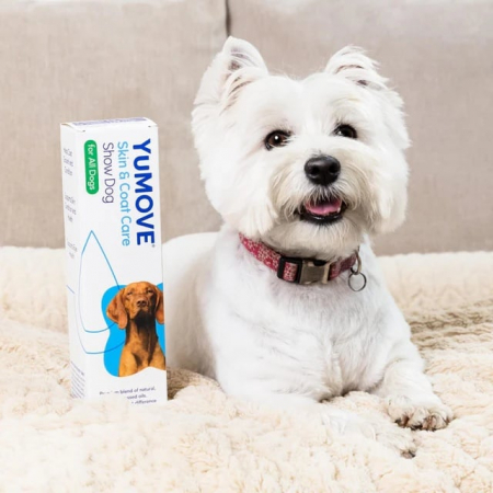 Yumove skin&coat care show dog for all dogs, 500ml [2]