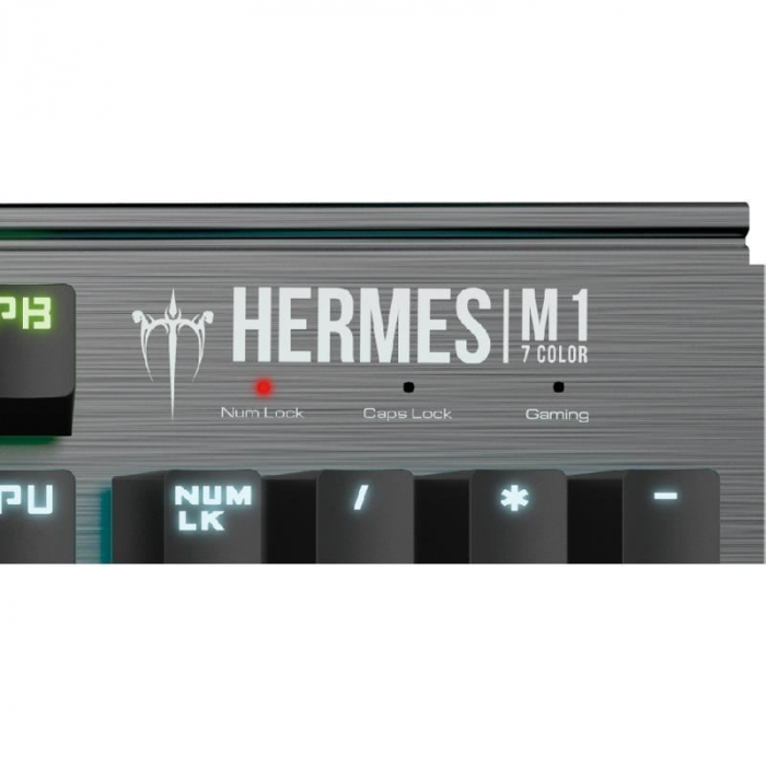 Tastatura mecanica Gamdias Hermes M1 [4]