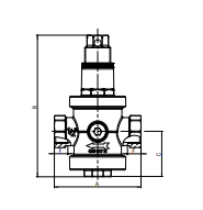 REDUCTOR PRESIUNE 1" 1/4 FI - 25 BAR [2]