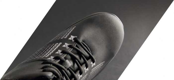 bocanci-aroserio [2]