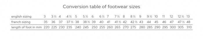 Pantofi Arena 922 S1 [6]