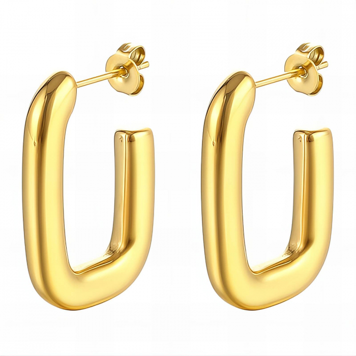 Cercei Alexis Collection ALX89707 placati cu aur 18K [1]