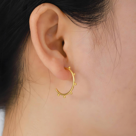 Cercei Alexis Collection ALX87219 placati cu aur 18K [1]