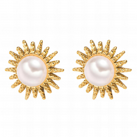 Cercei Alexis Collection 18K Gold Plated - Cercei Alexis Collection ALX87784 placati cu aur 18K