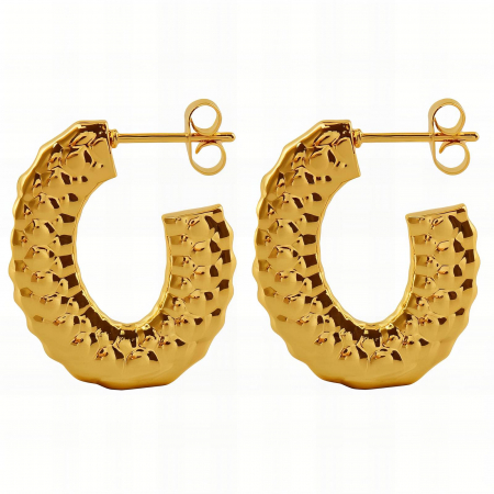 Cercei Alexis Collection 18K Gold Plated - Cercei Alexis Collection ALX89368 placati cu aur 18K