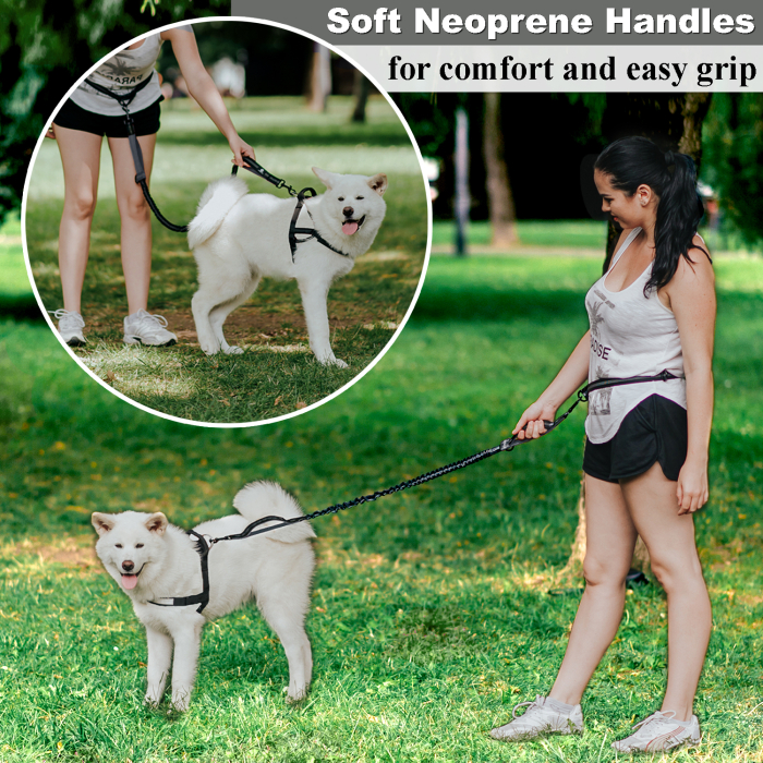 Lesa hands free cu amortizor Chunky Paw™ pentru caini de talie mare pentru alergare, jogging, plimbari, drumetii Negru cu Gri [5]