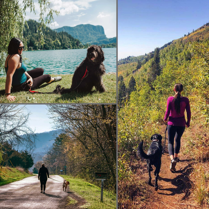 Lesa hands free cu amortizor Chunky Paw™ pentru caini de talie mare pentru alergare, jogging, plimbari, drumetii Negru cu Gri [7]