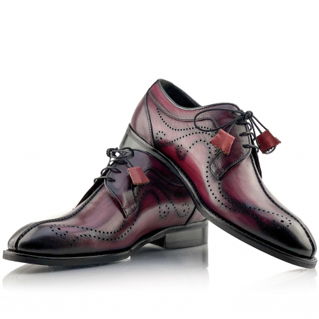 Pantofi eleganti handmade din piele - Davis Bordo [0]