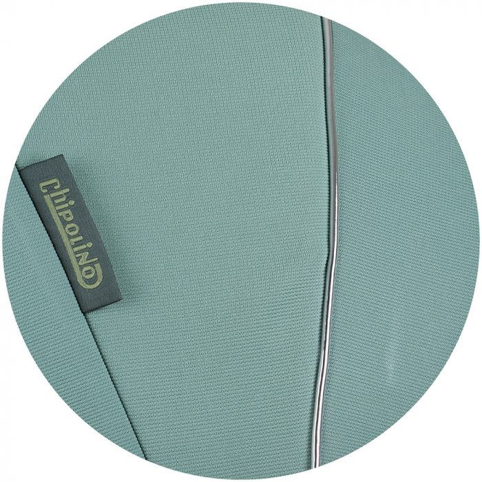 Carucior sport Chipolino Move On pastel green [10]