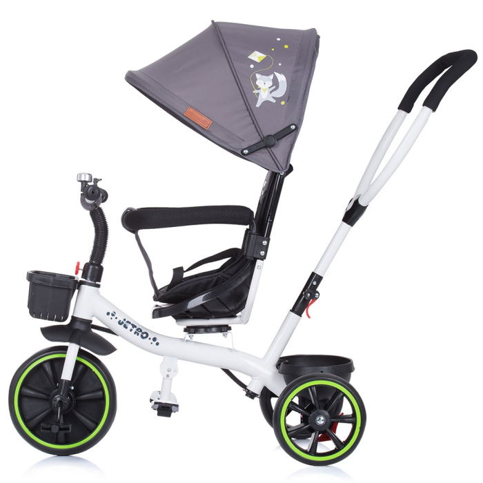Tricicleta cu copertina si sezut reversibil Chipolino Jetro platinum [2]