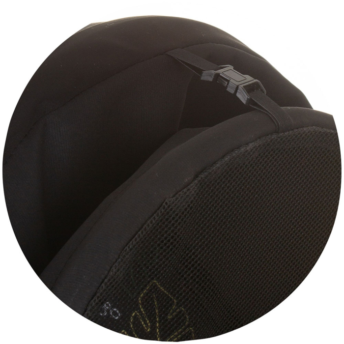 Tricicleta gemeni Chipolino 2Play obsidian leaves [8]