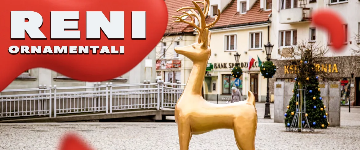 Reni ornamentali
