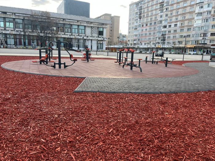 Amenajare echipamente fitness - Onesti, BC [4]