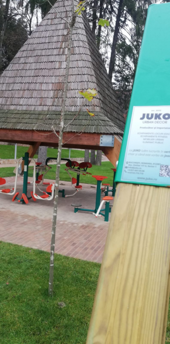 Amenajare parc echipamente fitness - Olanesti, VL [3]