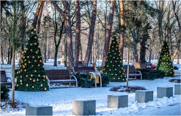 Brad artificial pentru exterior din fibra de sticla - Terra Christmas [4]