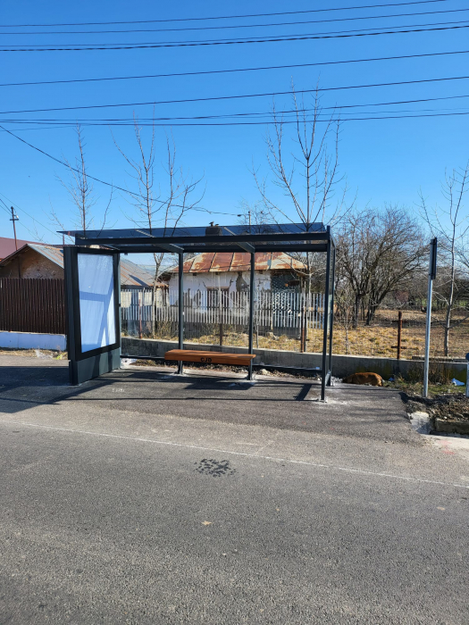 Statii de autobuz - Brosteni, Visina, Fierbinti, Selaru , DB [27]