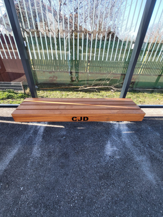 Statii de autobuz - Brosteni, Visina, Fierbinti, Selaru , DB [33]