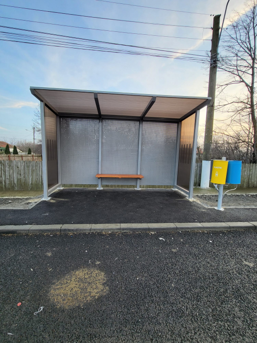 Statii de autobuz - Viziru, Bordei Verde, Ianca, Sutesti, Racovita, BR [18]